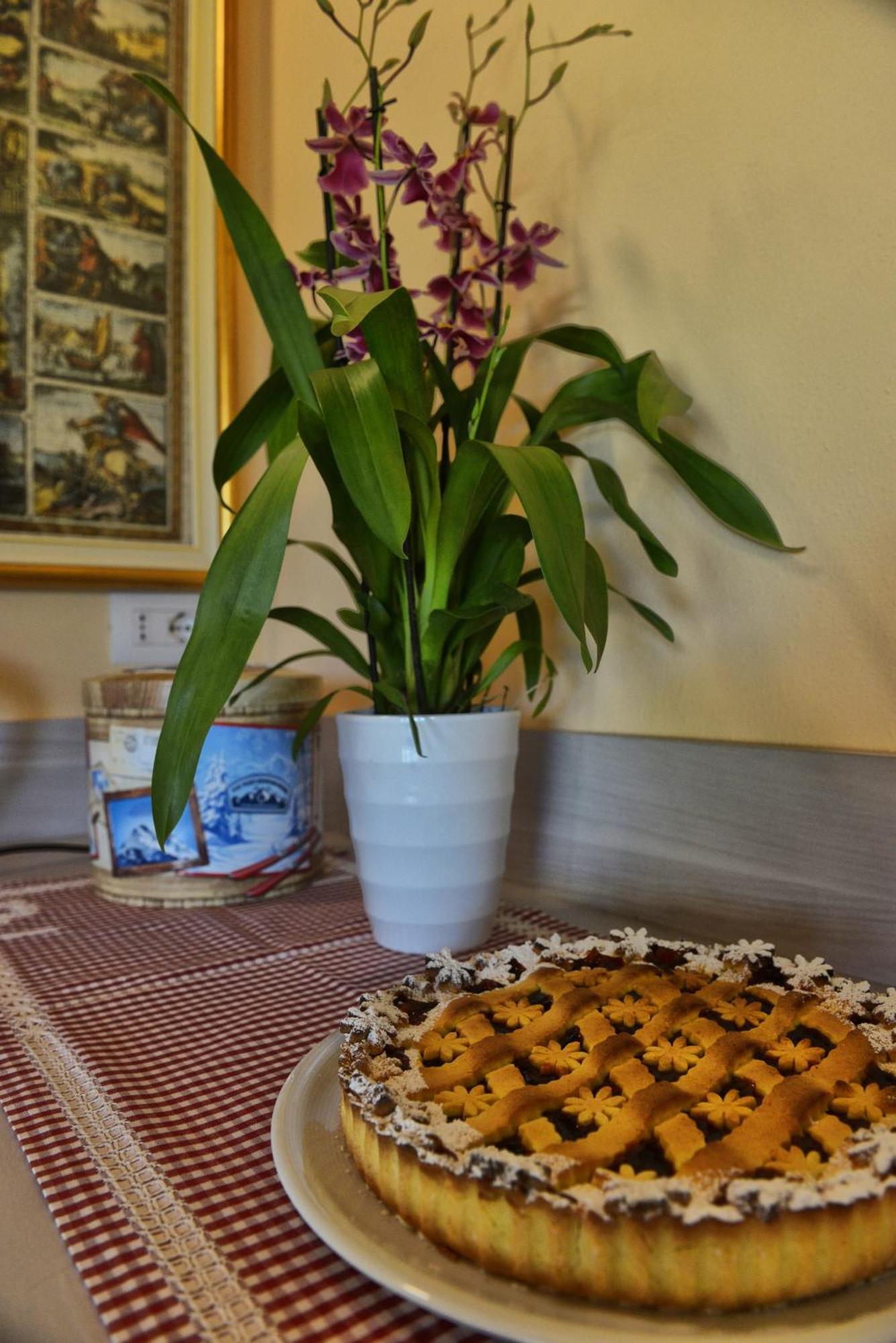Le Orchidee Di Corazza *
